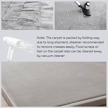 Amazon.com: MAXYOYO Grey Coral Velvet Area Rug, Thick